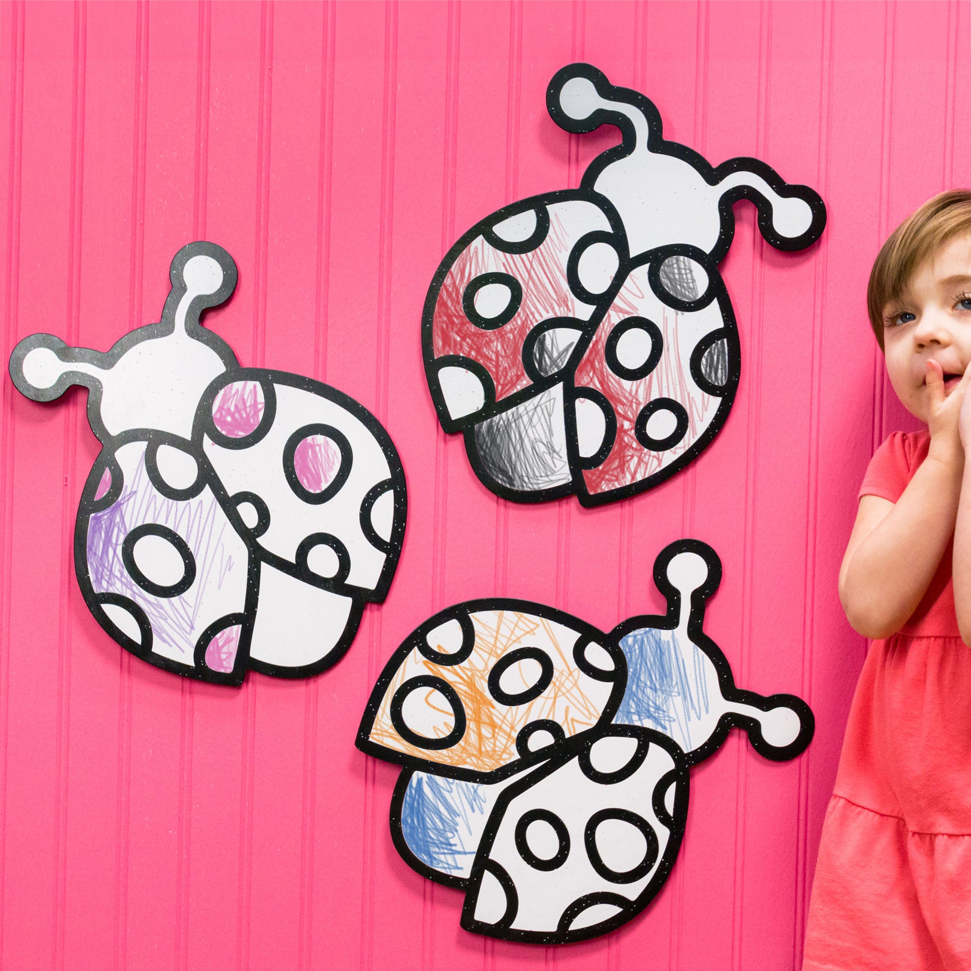Ladybug Set | Color n’ Erase | Play & Décor
