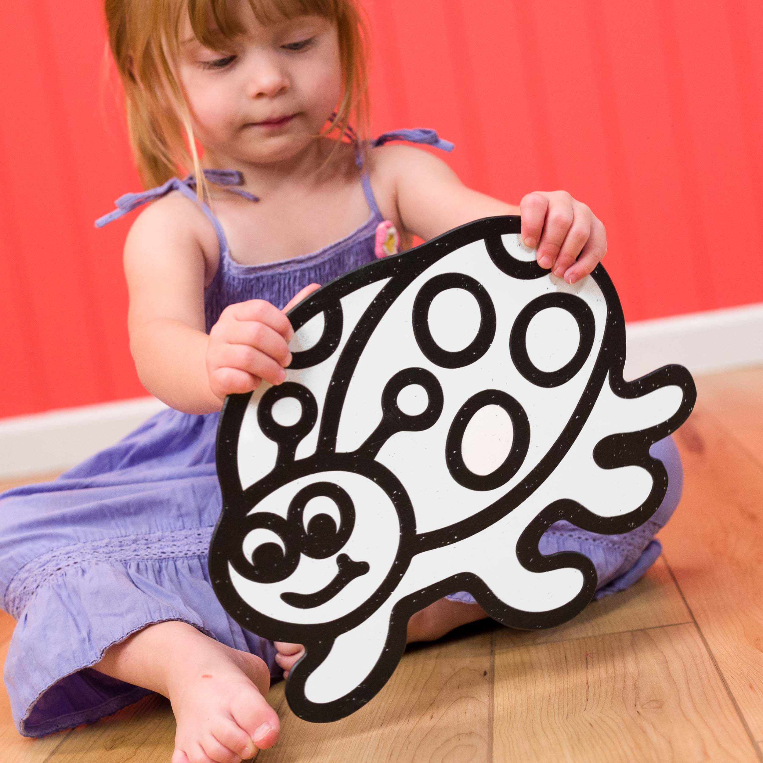 Ladybug | Color n’ Erase | Play & Décor