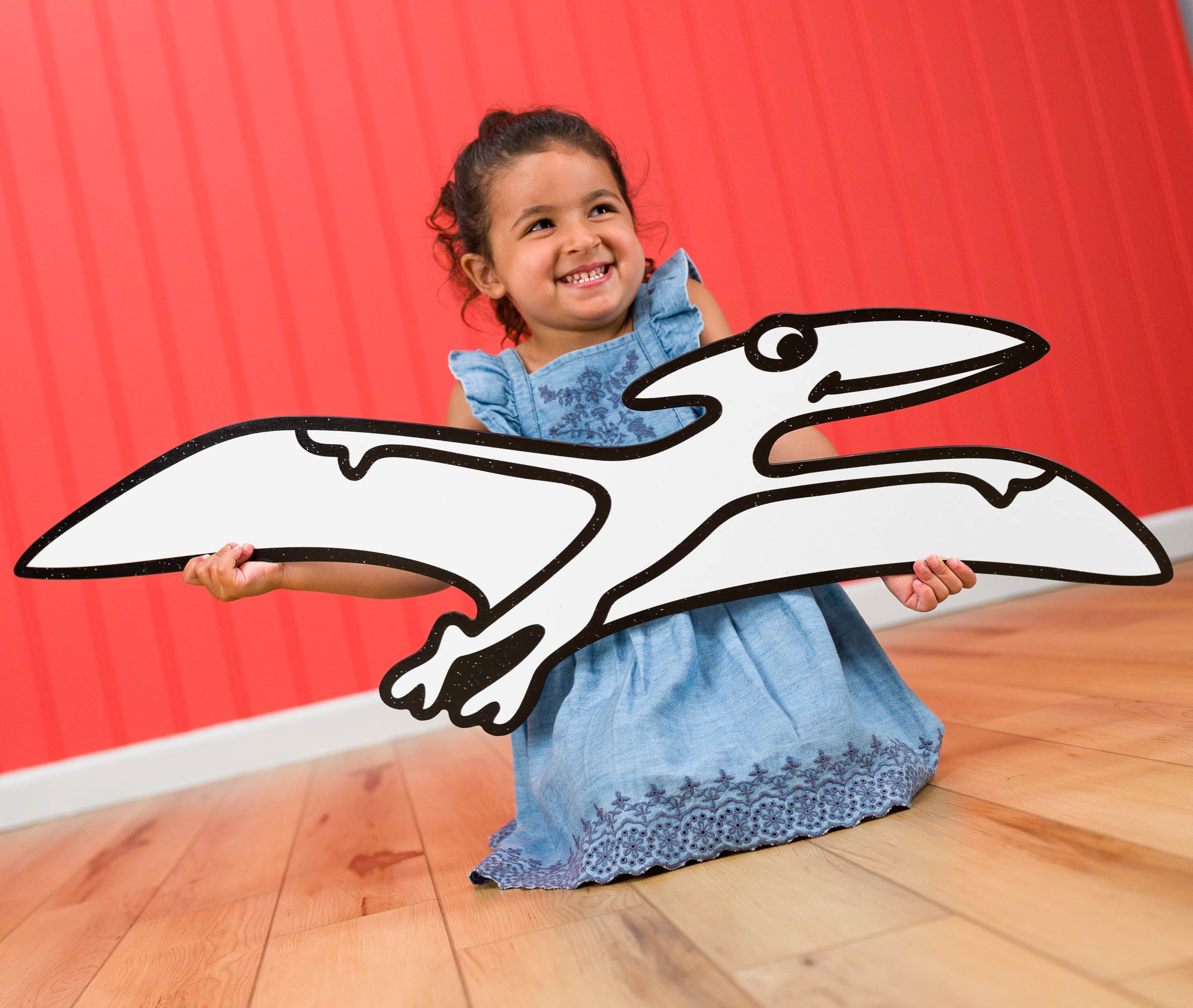 Pterodactyl Dinosaur | Color n’ Erase | Play & Décor