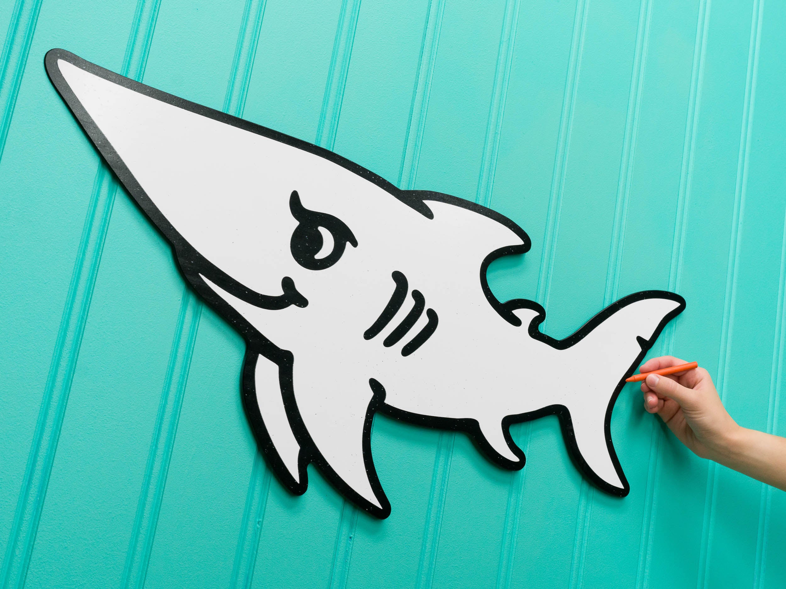 Bull Shark | Color n’ Erase | Play & Décor