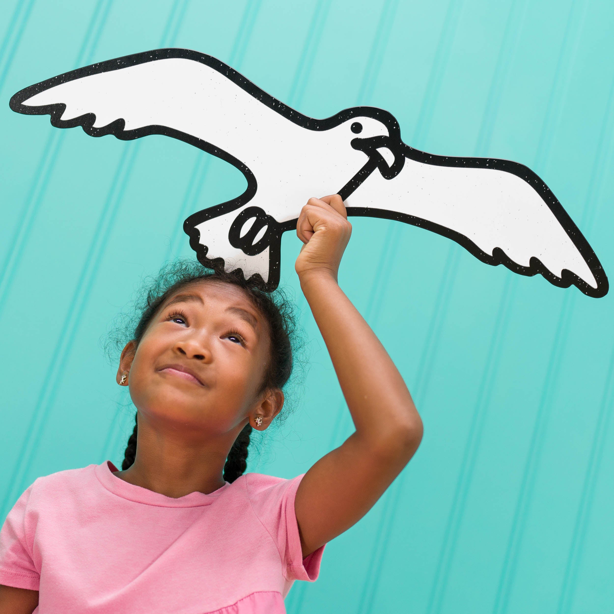 Seagull | Color n’ Erase | Play & Décor