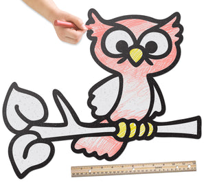 Little Owl | Color n’ Erase | Play & Décor