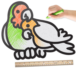 Parrot Bird Pals | Color n’ Erase | Play & Décor