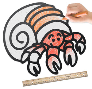 Hermit Crab | Color n’ Erase | Play & Décor