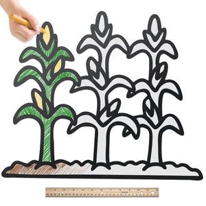 Corn Field | Color n’ Erase | Play & Décor
