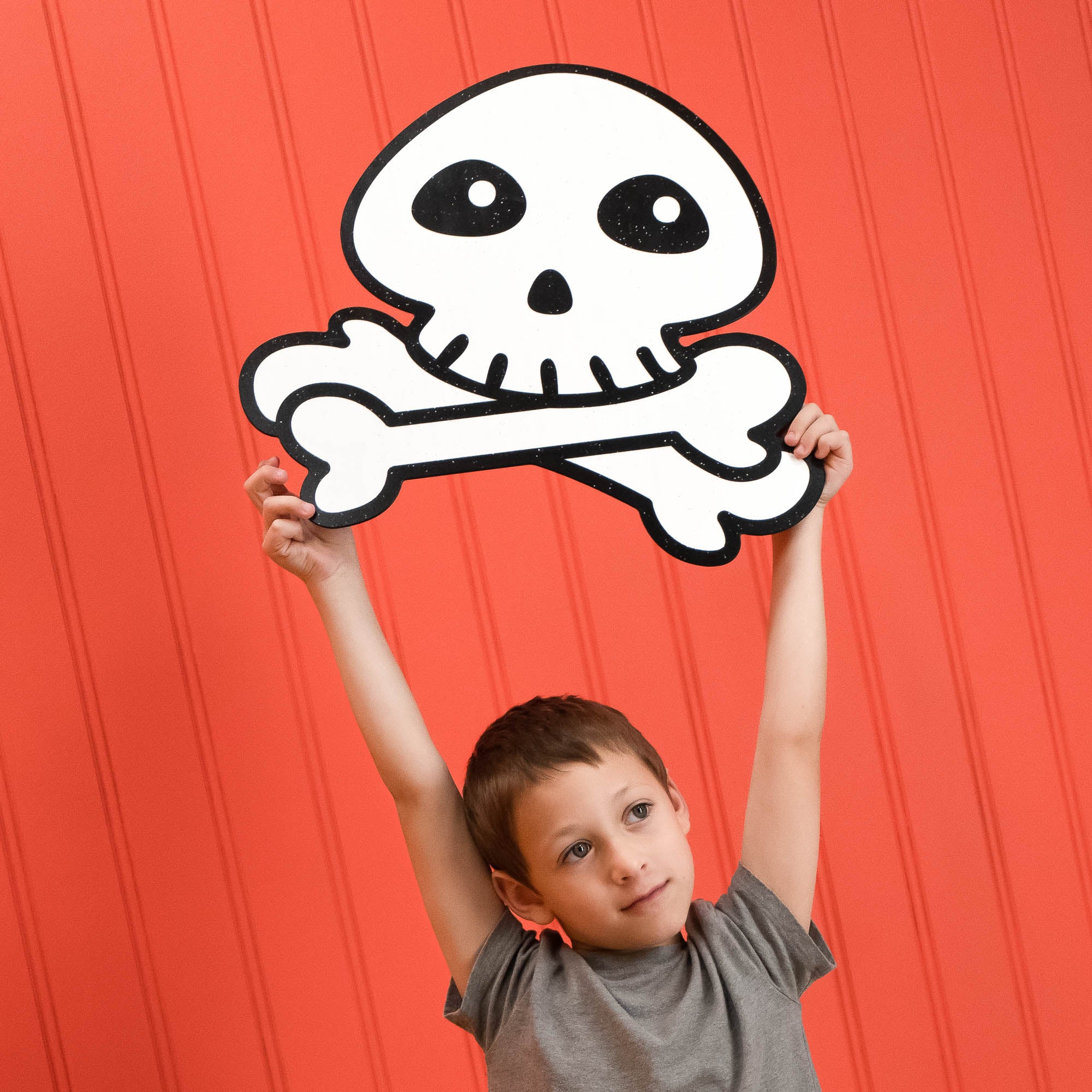 Skull | Color n’ Erase | Play & Décor
